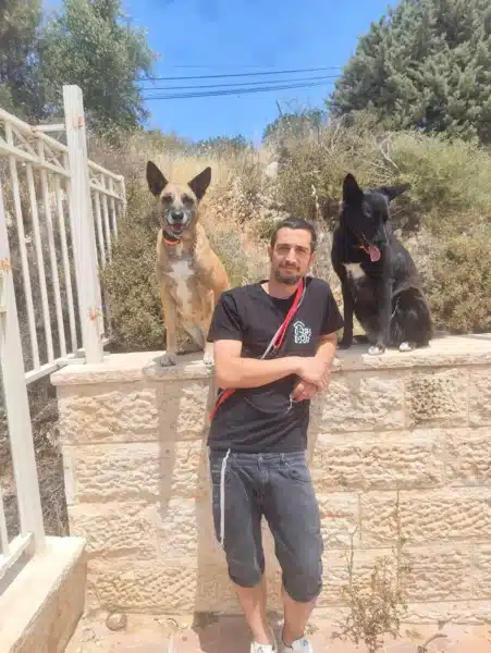 יונתן והכלבים