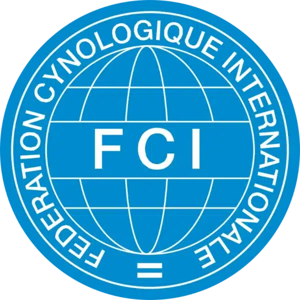 FCI לוגו