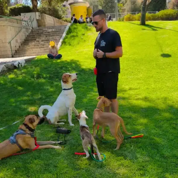 מאלף כלבים בשיעור אילוף בפארק
