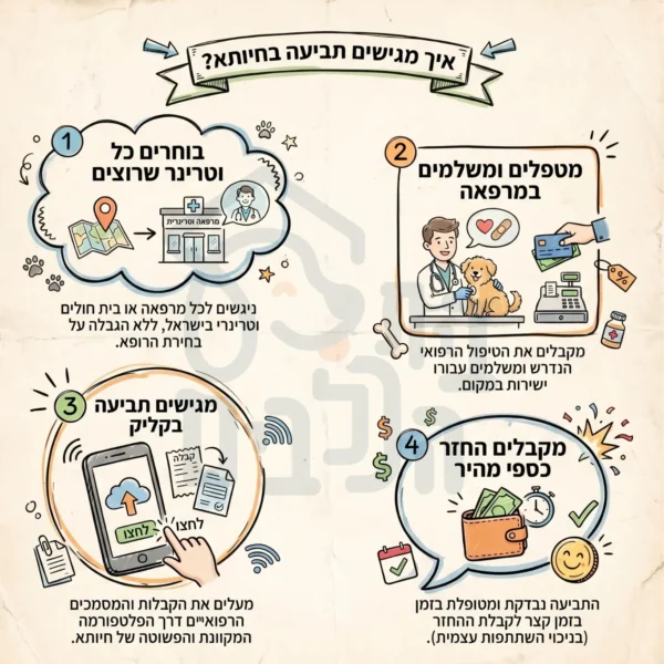 איך מגישים תביעה בחיותא