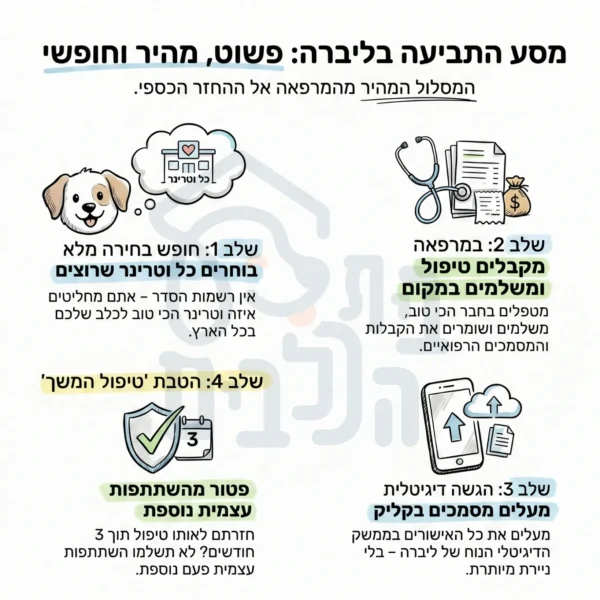 איך תובעים את ביטוח ליברה