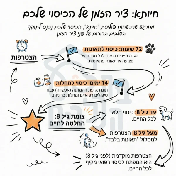 ביטוח חיותא לכלבים תקופת אכשרה