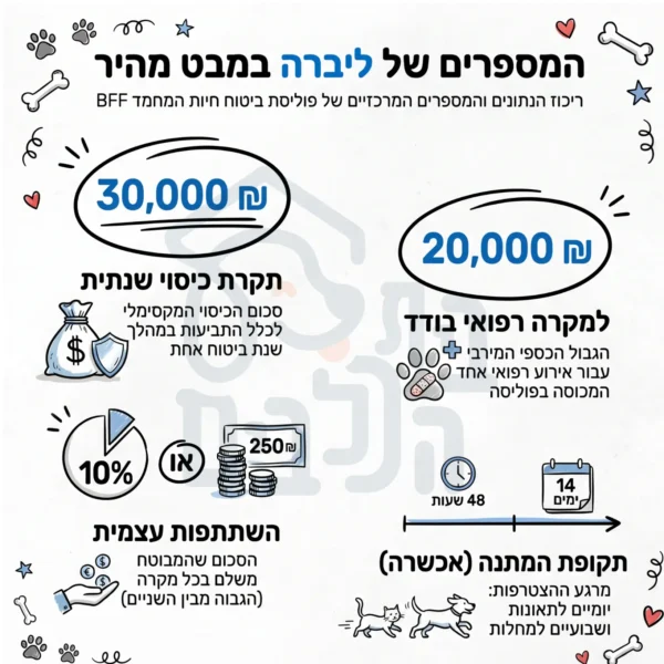 ביטוח לכלבים ליברה