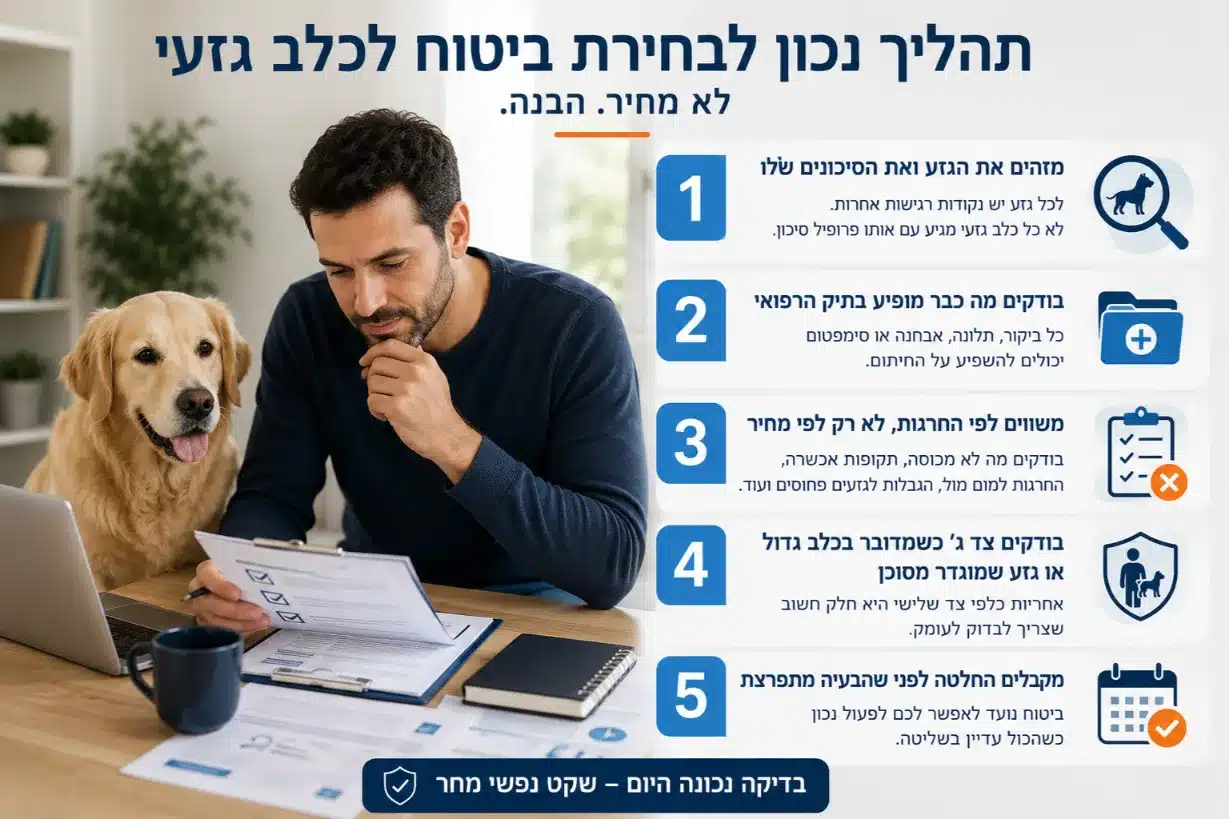 איך לבחור ביטוח בריאות לכלב גזעי