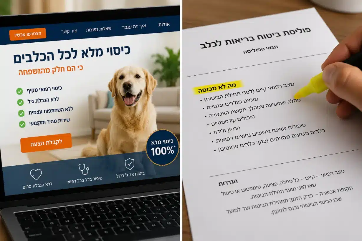 ביטוח בריאות לכלבים גזעיים מה לבדוק