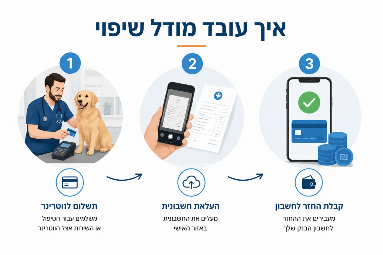 ביטוח לכלבים מודל שיפוי