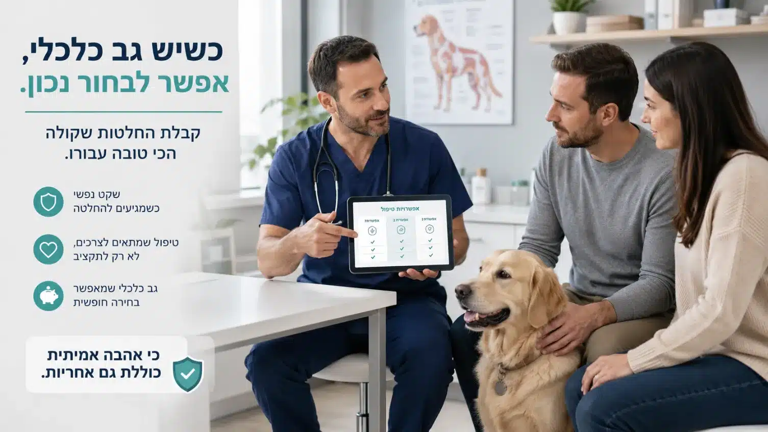 למה כדאי לעשות ביטוח לכלבים