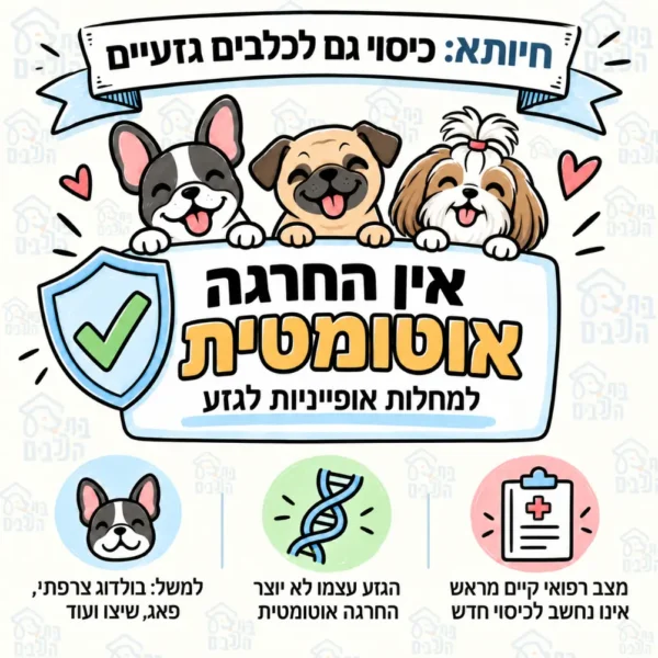 ביטוח לכלבים קטנים אצל חיותא