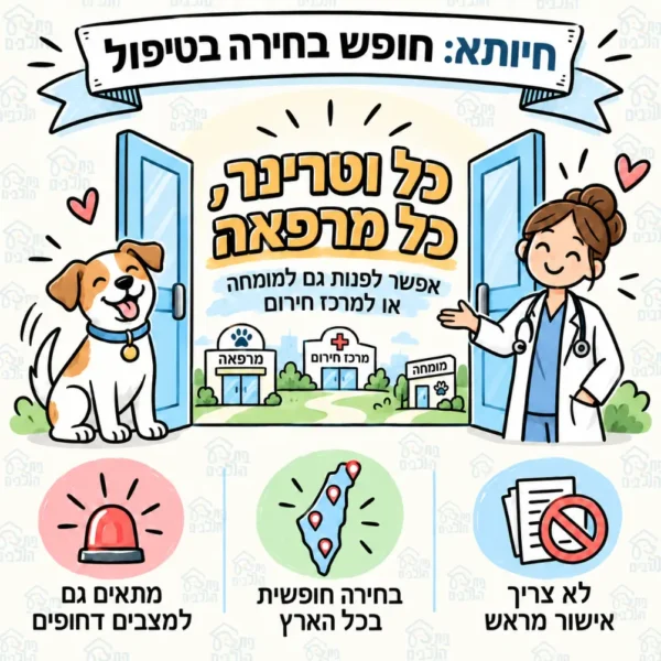 אצל ביטוח חיותא אפשר ללכת לטיפול אצל כל ווטרינר או מרפאה