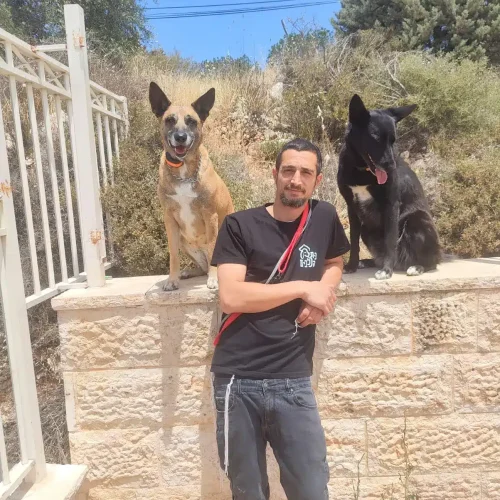 יונתן והכלבים